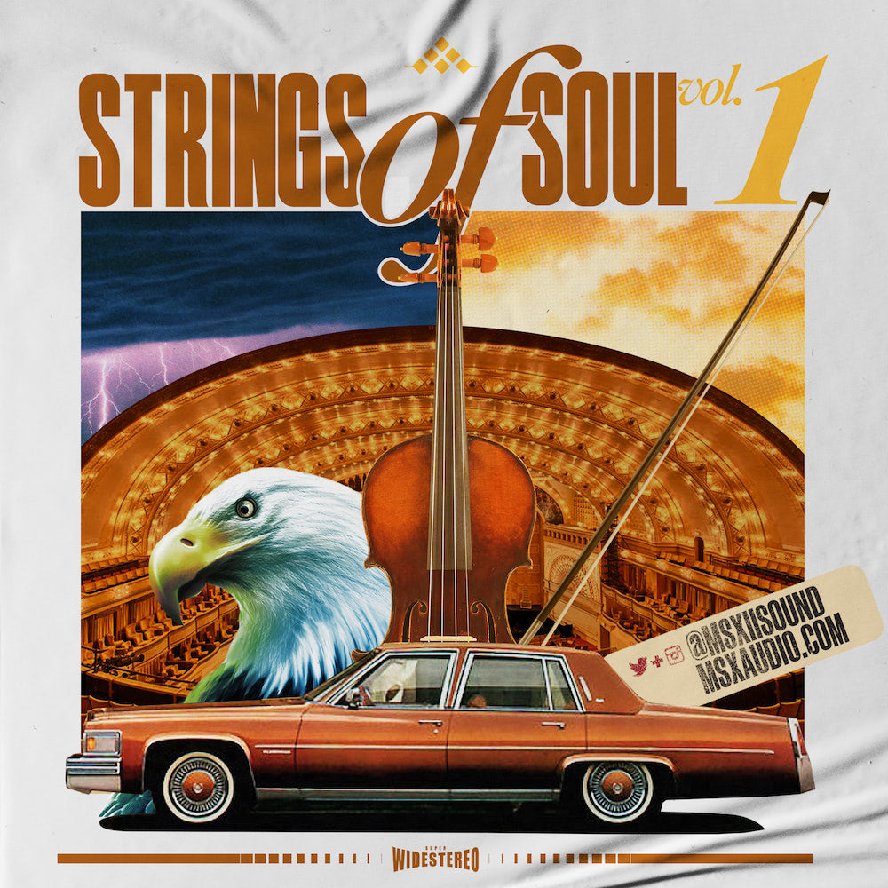 MSXII Sound Design Strings of Soul Vol. 1 (Sample Pack) The Drum Broker