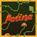 Patina - Vinyl Emulation Plugin