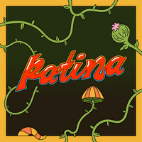 Patina - Vinyl Emulation Plugin