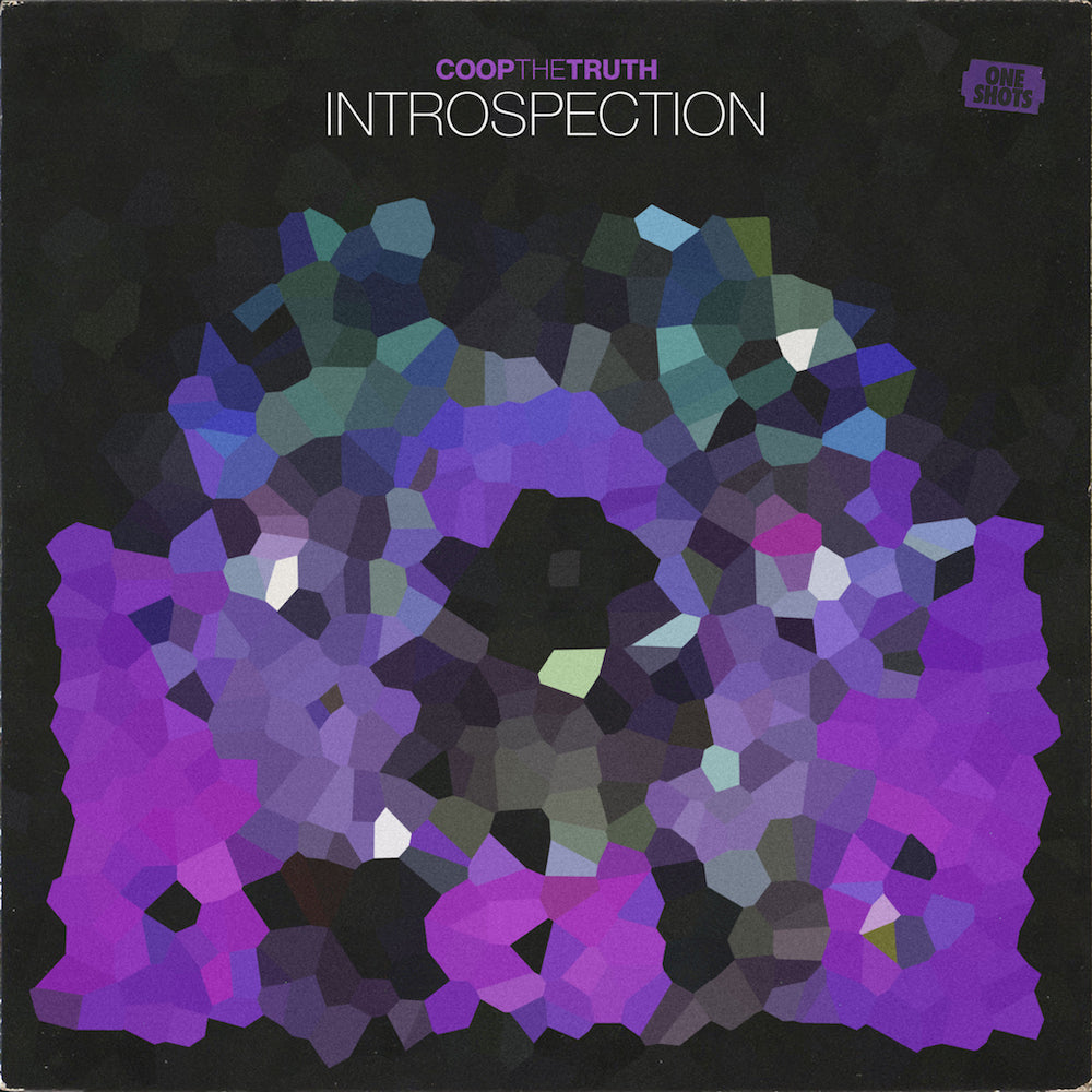 Coop The Truth - INTROSPECTION (One Shots)