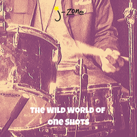 J-Zone - The Wild World of One Shots