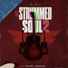 MSXII Sound Design - Strummed Soul Collection Vol. 2