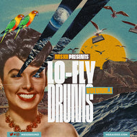 MSXII Sound Design - Lo-Fly Drums Vol. 1