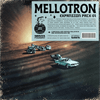 Minta Foundry - Mellotron Expansion Pack 01
