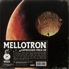 Minta Foundry - Mellotron Expansion Pack 02