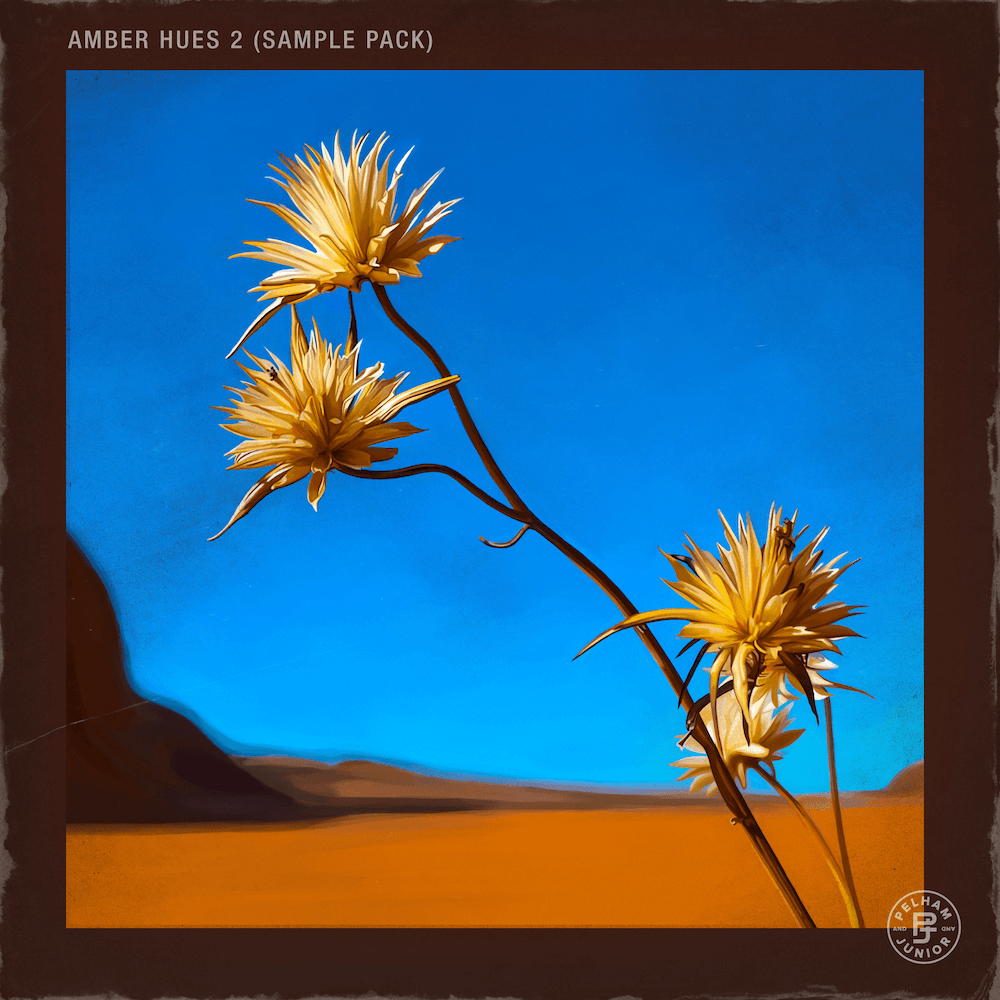 Pelham & Junior - Amber Hues Vol. 2