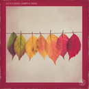 Pelham & Junior - LoFi Leaves Sample Pack