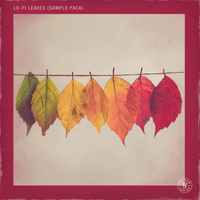 Pelham & Junior - LoFi Leaves Sample Pack