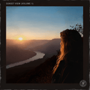 Pelham & Junior - Sunset View